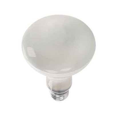 GE Watt-miser Indoor Reflector Flood Light Bulbs 65W Master Pack (R-30) 6 Pack