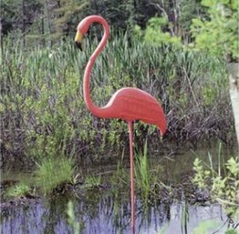 The Original 'realmingo' 52' Flamingo