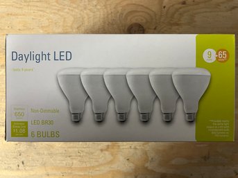 Daylight LED Bulbs 3