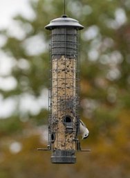 Dragonfly Squirrel Proof Tube Bird Feeder