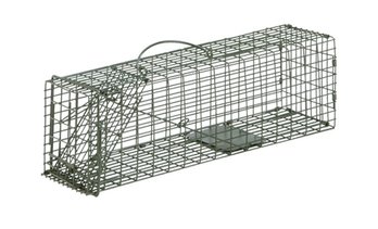 Duke Live Animal Cage Trap 16' X 5' X 5'