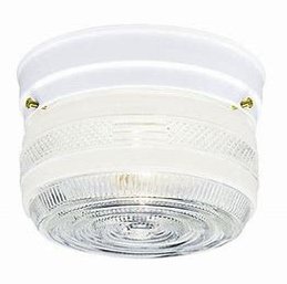 Westinghouse 1 Light Ceiling Fixture