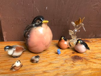 Birds Of All Sizes Lot