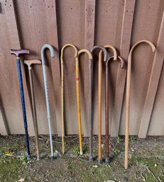 Bent Top Vintage Cane Lot