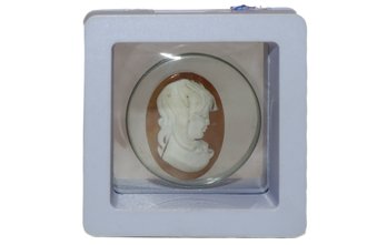 Beautiful Cameo Shell