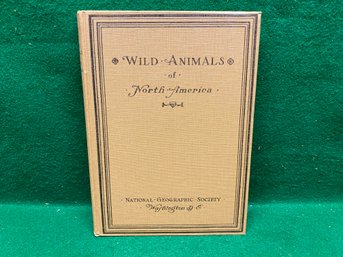 Wild Animals Of North America. National Geographic Society. Illustrated HC Book In Dust Jacket. 1918.