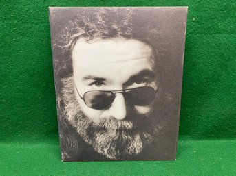 Garcia. Jerry Garcia. Grateful Dead. First Edition 238 Page Profusely Illustrated HC Book In DJ. (1995).