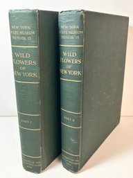 Antique 1923 Wildflowers Of New York Books Part 1 & Part 2