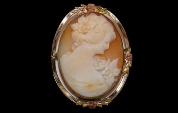 Vintage Gorgeous Cameo Brooch/pendant