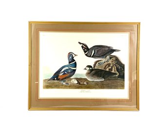 Large Early Currier & Ives Lithograph Of Birds