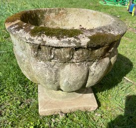 Vintage Cement Flower Pot