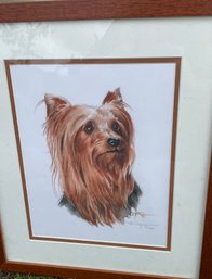 Print Of Yorkshire Terrier Signed Numbered With Certificate Of Authenticity