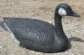 Life Size Canadian Goose Decoy