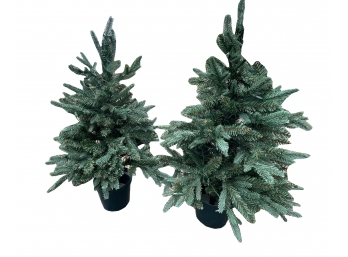 Pair Of Smaller Christmas Trees With Light