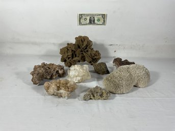 8 Old Geodes & Coral