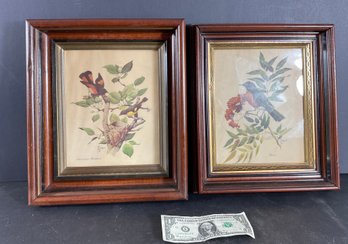 2 Antique Walunt Victorian Walnut Frames With Bird Prints