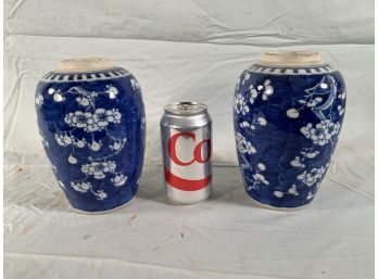 Pair Of 19th Century Chinese Hawthorn Blue & White Vases