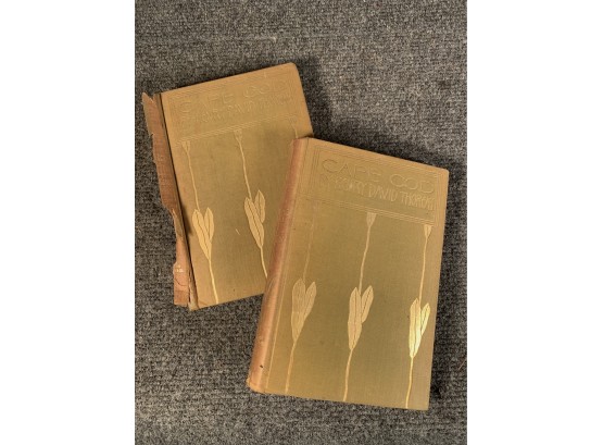 2 Vols. Cape Cod By Henry David Thoreau 1896 Houghton Mifflin & Co. Riverside Press