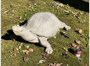 Molded Composite Plastic Turtle