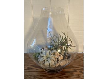 Decorative Vase Of Shells And Succulents