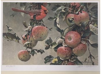 Robert Bateman Signed And Numbered Lithograph Cardinal And Wild Apples