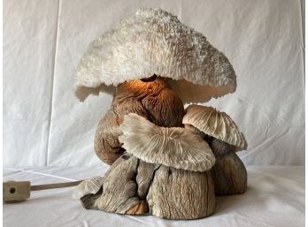 Unusual Burl And Coral Table Lamp