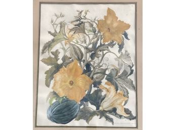 Marion Freeman Wakeman Watercolor Of Squash Blossoms