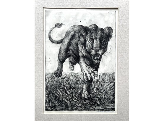 Original Karen Bachelder African Lion Etching Dated 5/72