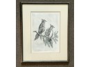 1/7 Numbered Etchingof Two Winter Birds.  Framed And Under Glass Hand Tinted By The Late Artist Barbara Dahlin