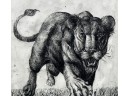 Original Karen Bachelder African Lion Etching Dated 5/72