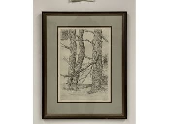 Original  Etching Signed B Dahlin (A/P ) Artist Proof 3 Pines