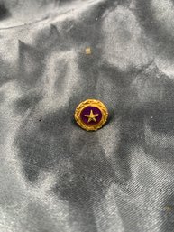 Vietnam Era Gold Star Pin