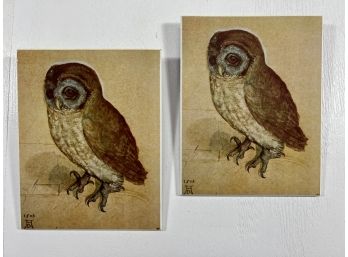 Print On Board 'The Little Owl' By Albrecht Durer