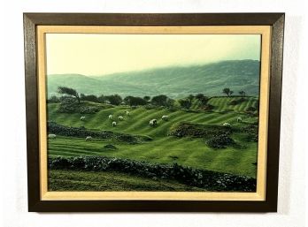 Framed Canvas Print - Field Of Ireland