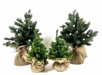 (4) Decorative Fir Trees In Burlap