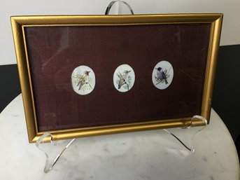 Vintage Miniature Framed Trio Of Birds  Painted? On Bone Or Celluloid