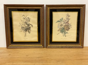 Two Botanical Framed Prints