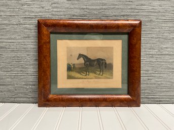 Framed Horse Print 8x10