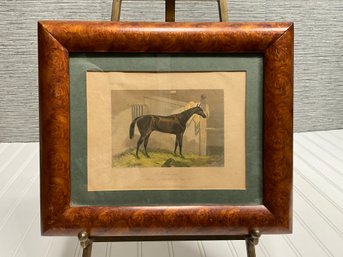 Framed Horse Print 8x10