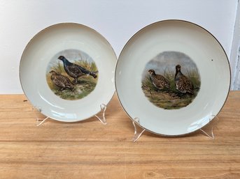 Two Vintage Decorative Bavarian Game Bird Plates