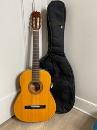 Acoustic Guitar Takamine