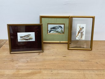 Set Of 3 Small Framed Bird Artwork