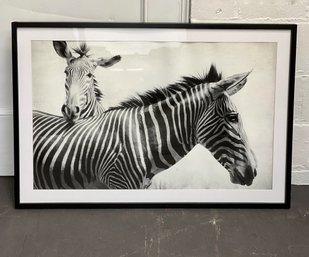 Zebra Framed Wall Art 42.5 X 28