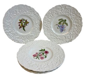 Set Of Five Royal Cauldon Floral Plates 9'