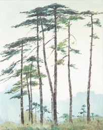 Realist Original Oil On Canvas  'Old Pines'