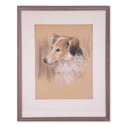 Dated 1936 Original Pastel On Paper 'Border Collie'