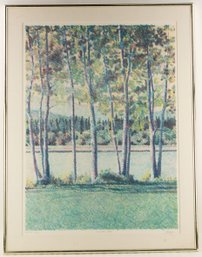 Impressionist Limited Edition Print 70/151 Luke Peare'Summer Lake II'