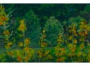 Vintage Expressionist Oil On Paper 'Flower Fields'