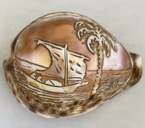 Delicate Hand Carved Tiger Shell