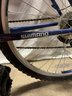 Blue Diamond Back Bike
